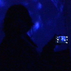 Meet your Posher, Bailey